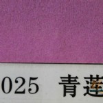 ɭ4ɫֽ/B025//53cm*38cm/100*6//925
