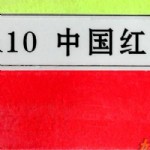 ӫֽ/й/A10/53CM*38CM/100//890