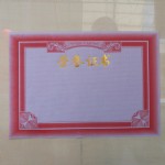 R4/ɫ˫֤16Kҳֽ/25*17.6cm/100/