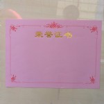 R2/12K֤ҳ1415/28*20CM/ۺ/100/