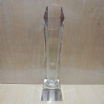 ˮ/б/к/25CM