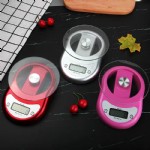 ӳWH-B11/5000g/1g